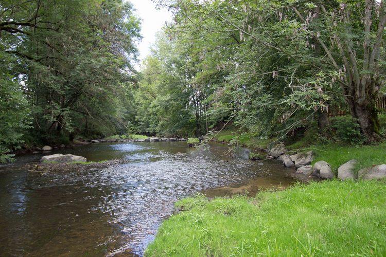 Thollet Le Moulin Du Cluzeau 빌라 외부 사진